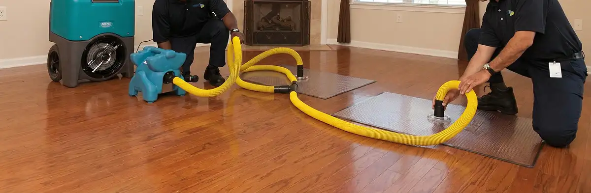 emergency water removal technicians extracting standing water from a home using professional equipment in Tampa, FL